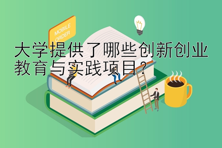 大学提供了哪些创新创业教育与实践项目？