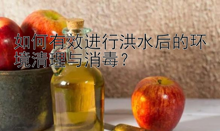 如何有效进行洪水后的环境清理与消毒？