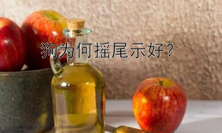 狗为何摇尾示好？