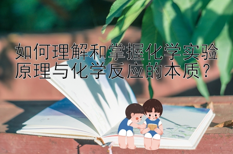 如何理解和掌握化学实验原理与化学反应的本质？