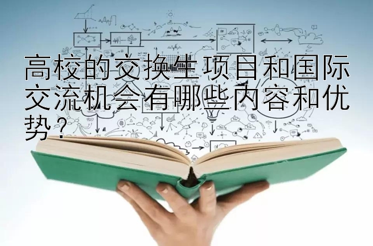 高校的交换生项目和国际交流机会有哪些内容和优势？