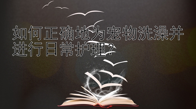 如何正确地为宠物洗澡并进行日常护理？