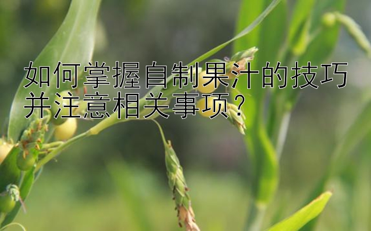 如何掌握自制果汁的技巧并注意相关事项？