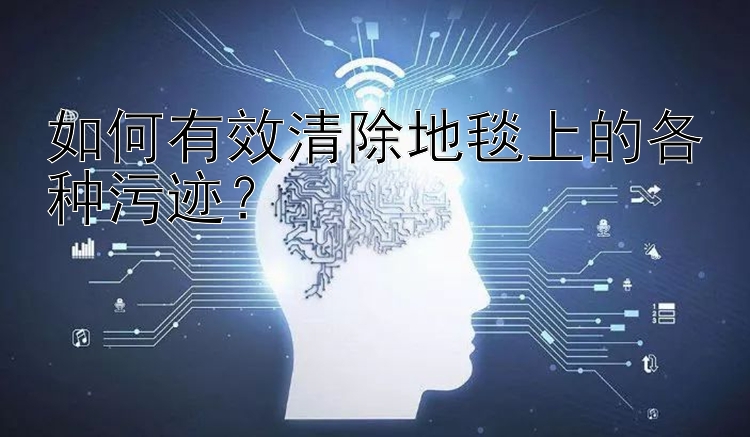 如何有效清除地毯上的各种污迹？