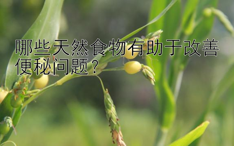 哪些天然食物有助于改善便秘问题？