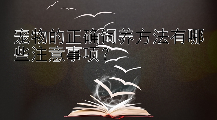 宠物的正确饲养方法有哪些注意事项？