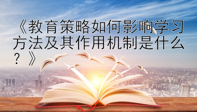 《教育策略如何影响学习方法及其作用机制是什么？》