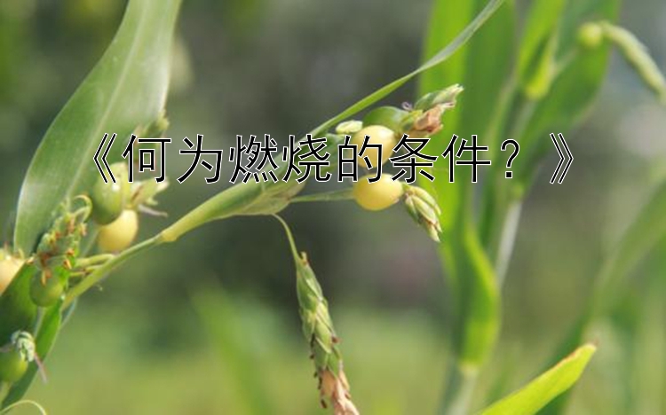 《何为燃烧的条件？》