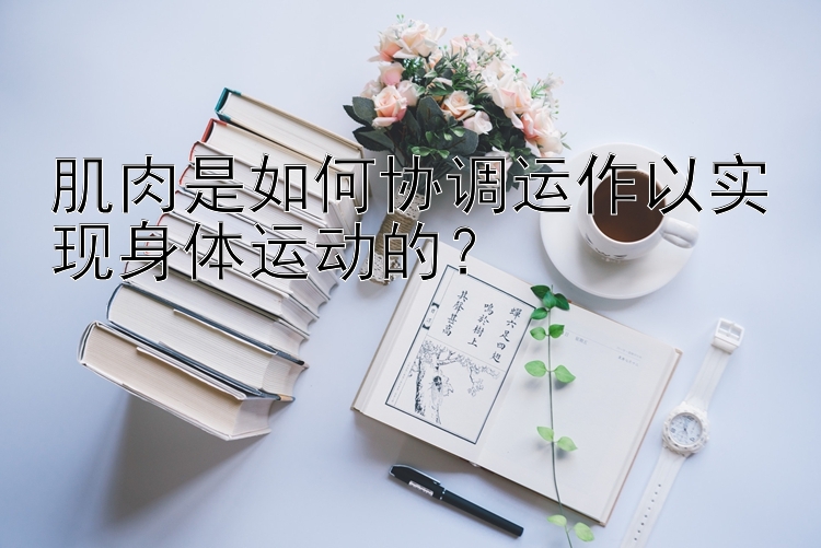 肌肉是如何协调运作以实现身体运动的？