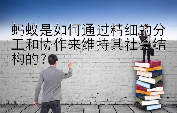 蚂蚁是如何通过精细的分工和协作来维持其社会结构的？