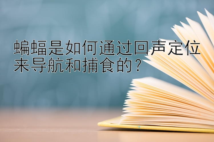 蝙蝠是如何通过回声定位来导航和捕食的？