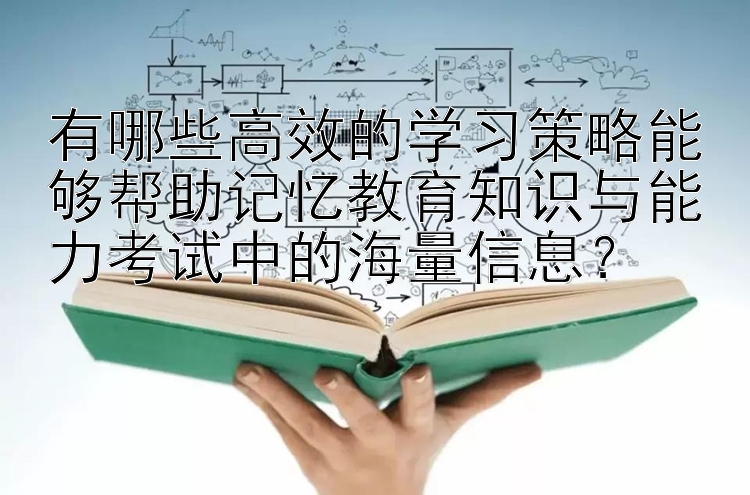 有哪些高效的学习策略能够帮助记忆教育知识与能力考试中的海量信息？