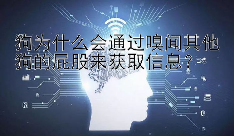 狗为什么会通过嗅闻其他狗的屁股来获取信息？